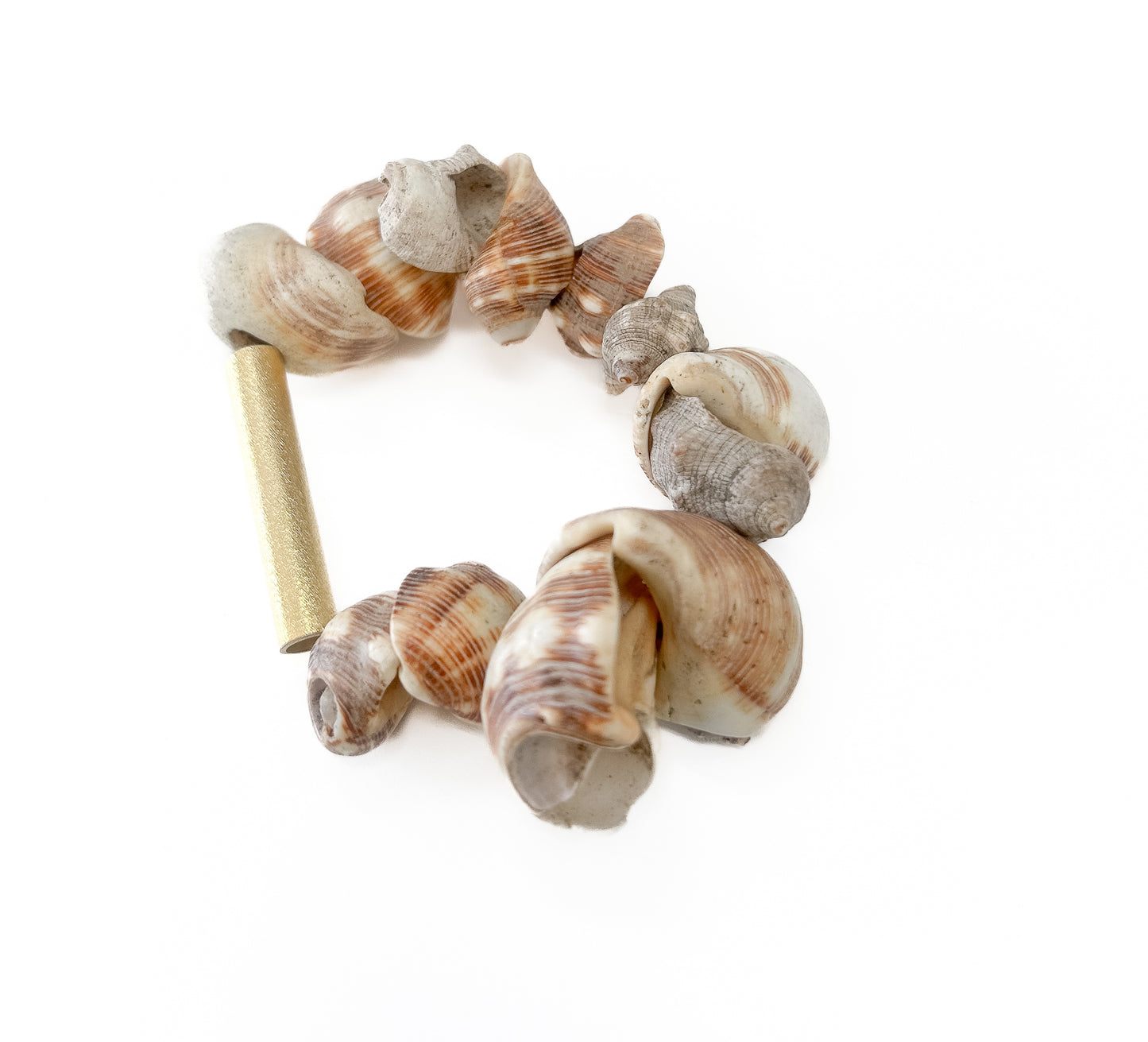 Seashell Seascape
