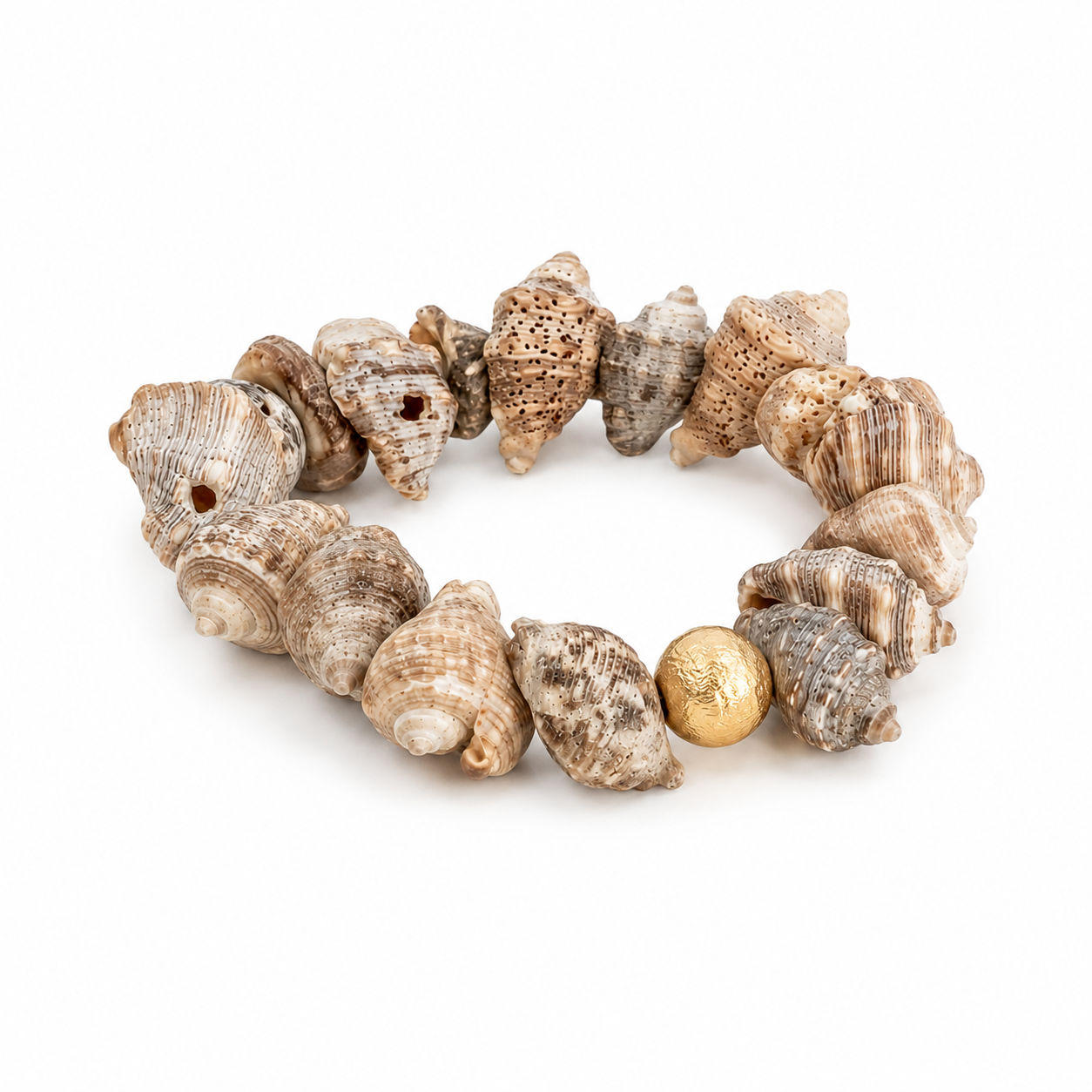 Seashell Seascape