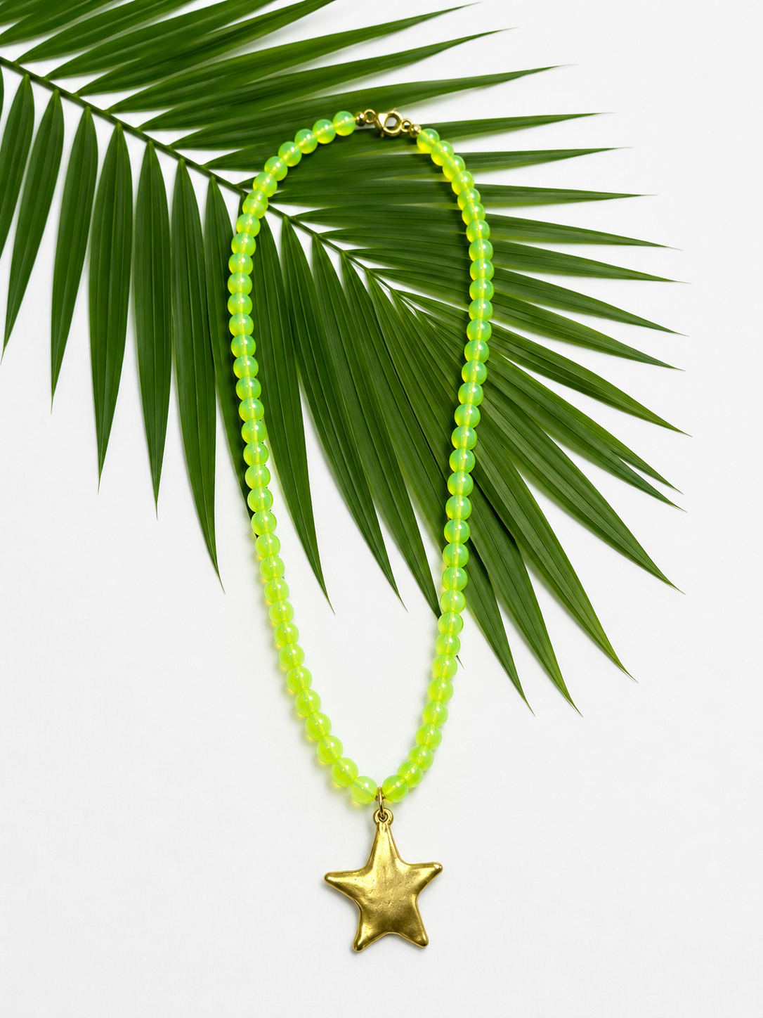Palm Coast Star Necklace