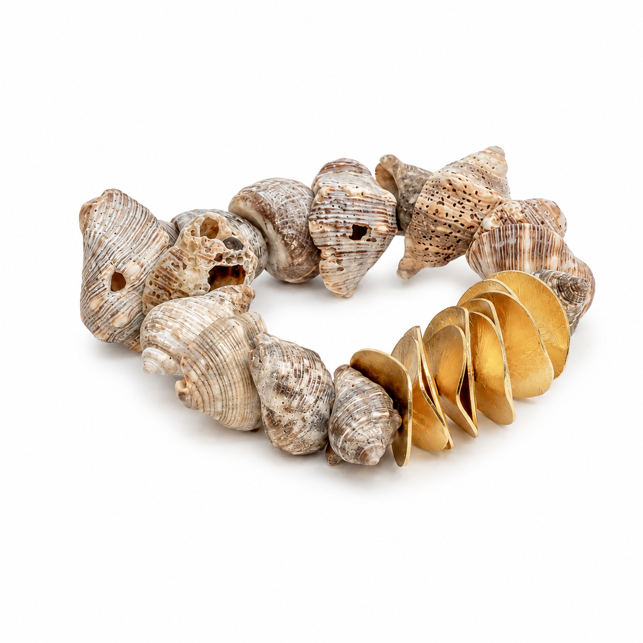 Seashell Seascape