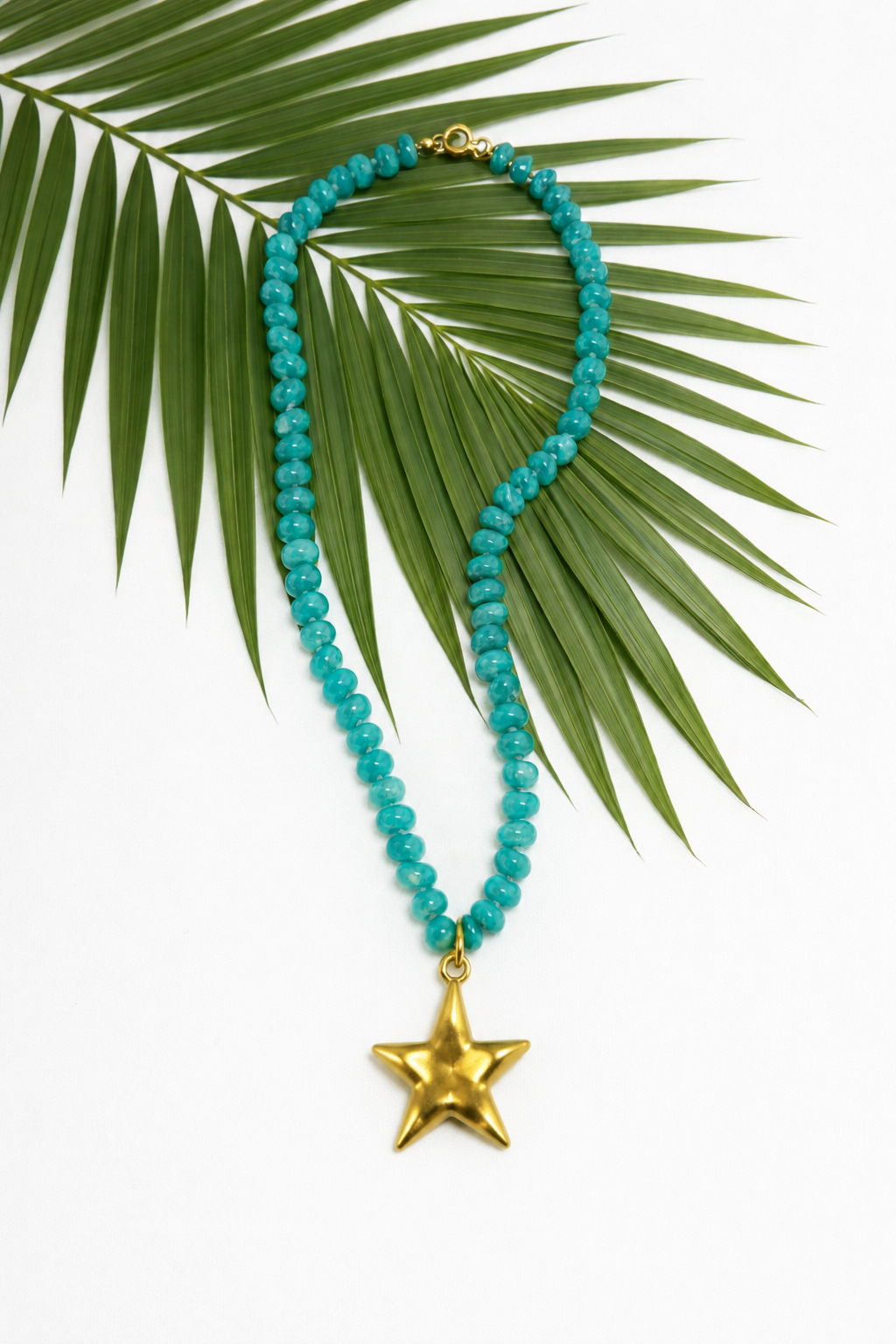 Palm Coast Star Necklace