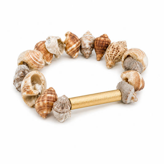 Seashell Seascape