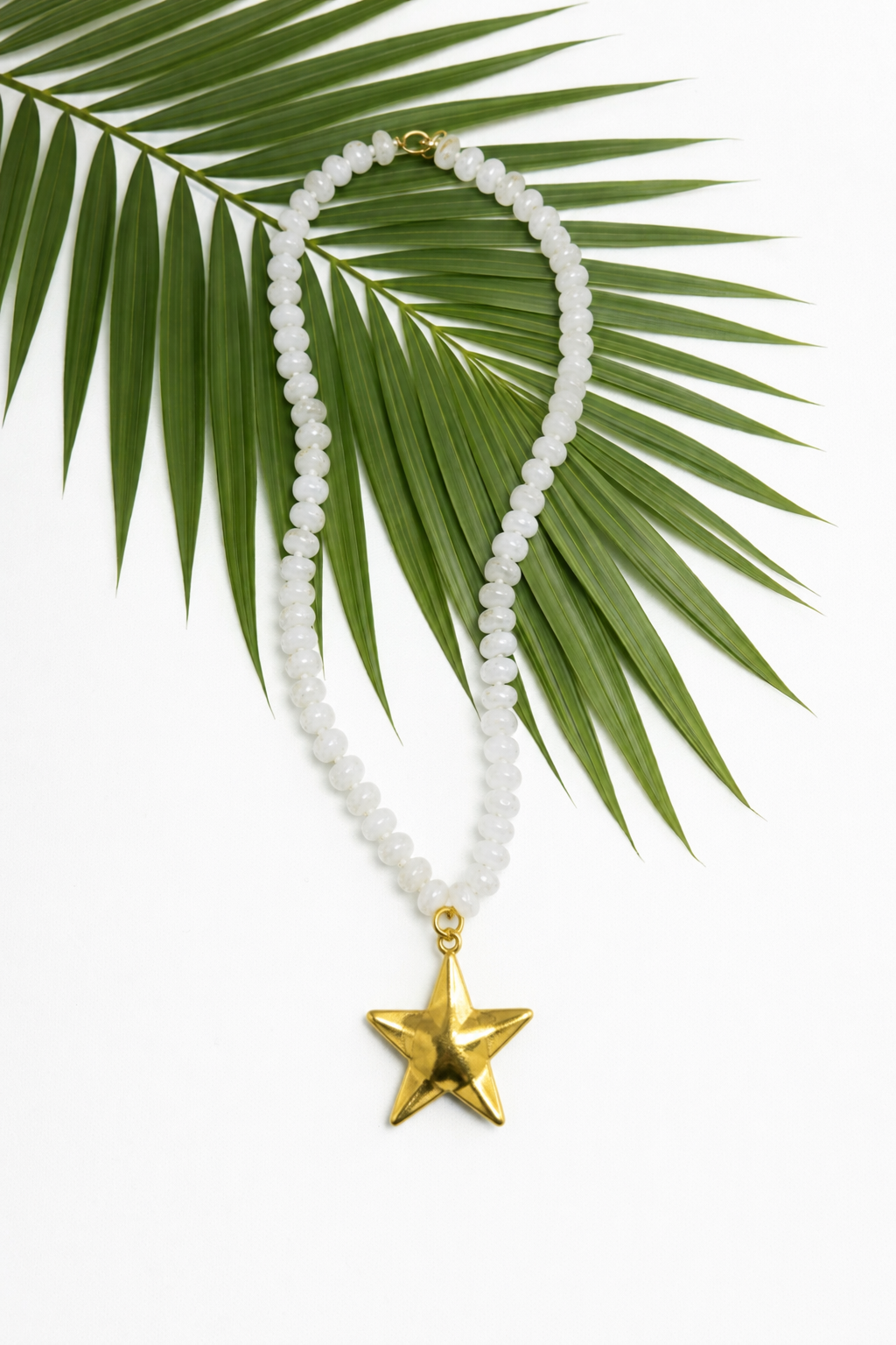 Palm Coast Star Necklace