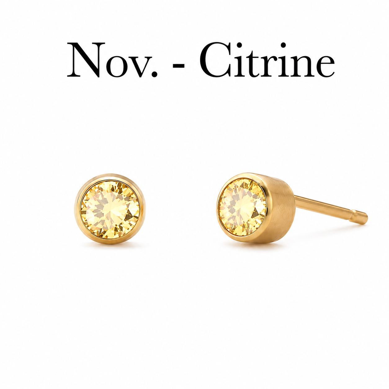 CK Birthstone Earrings