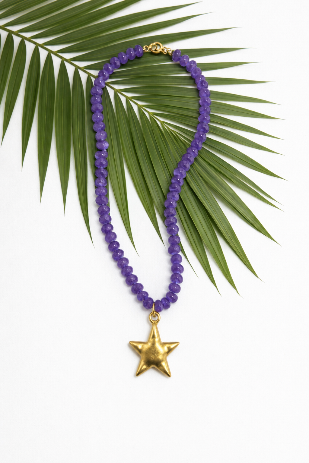 Palm Coast Star Necklace