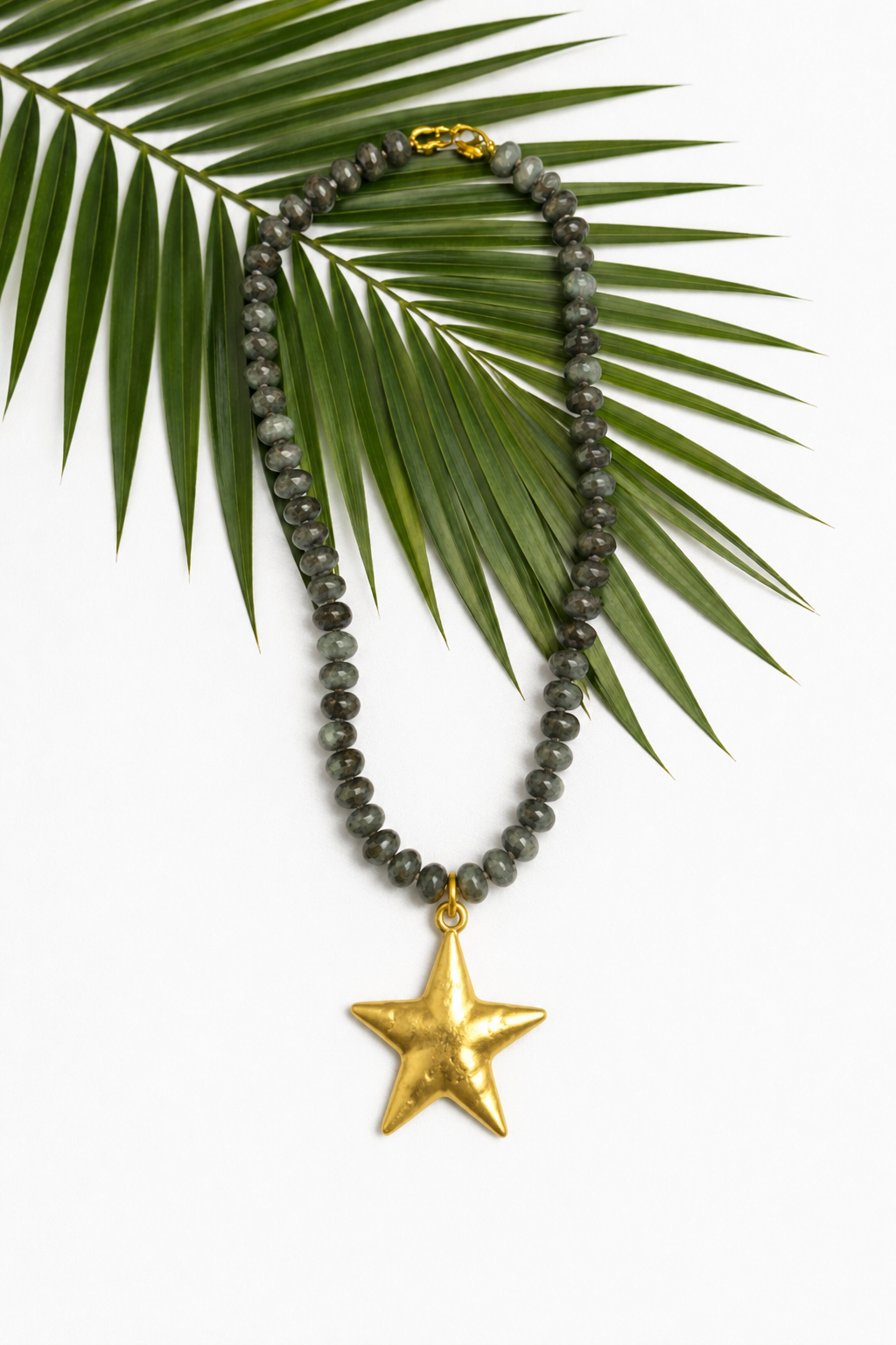 Palm Coast Star Necklace